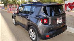 جيب رينيجيد